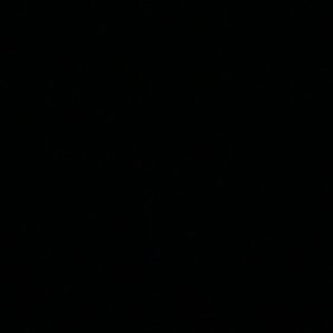 Meet your Posher, Bella